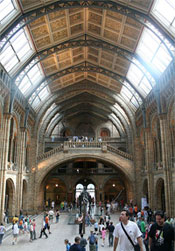 national history museum